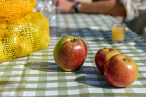 Taan dag en Herfstfair